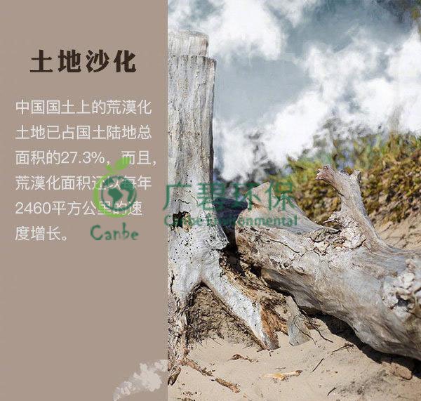 世界地球日 我們能為地球做些什么？(圖4)