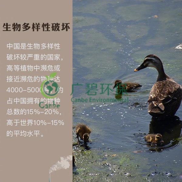 世界地球日 我們能為地球做些什么？(圖6)