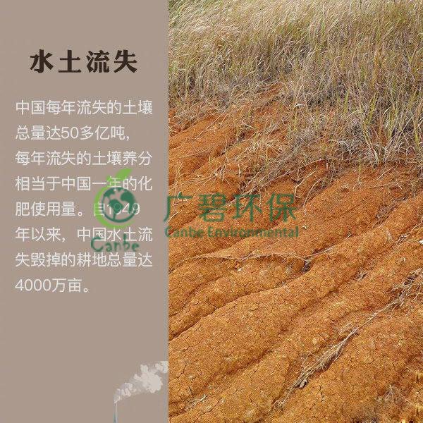 世界地球日 我們能為地球做些什么？(圖7)