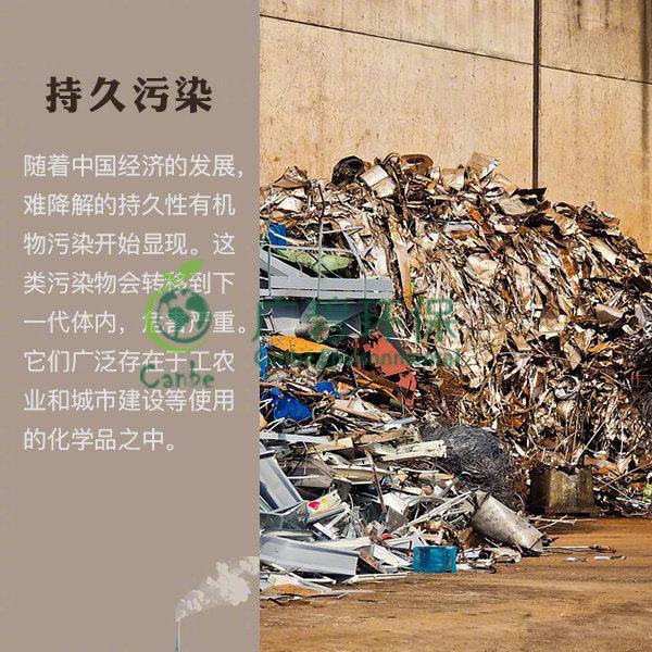 世界地球日 我們能為地球做些什么？(圖8)