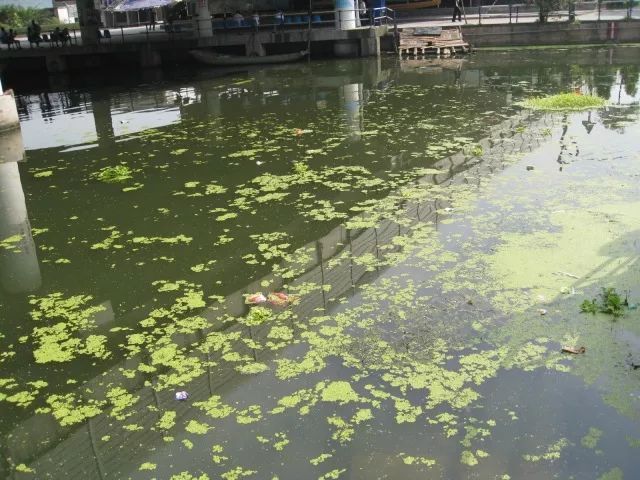 城市黑臭河道如何治理？河道黑臭水體治理思路