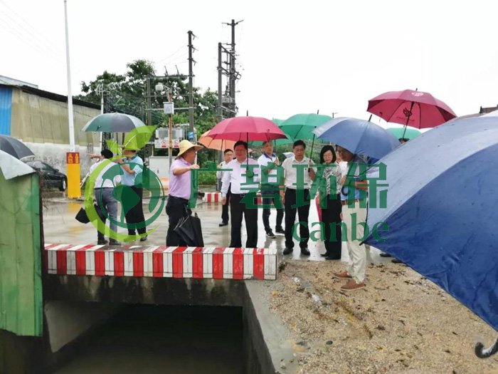 佛山推進(jìn)水污染防治問題整改，虛假整改將被問責(zé)！(圖2)