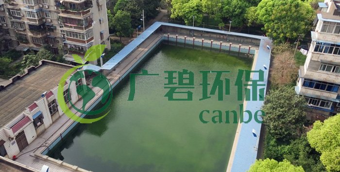 游泳池水變綠是什么原因？游泳池水處理方法(圖1)