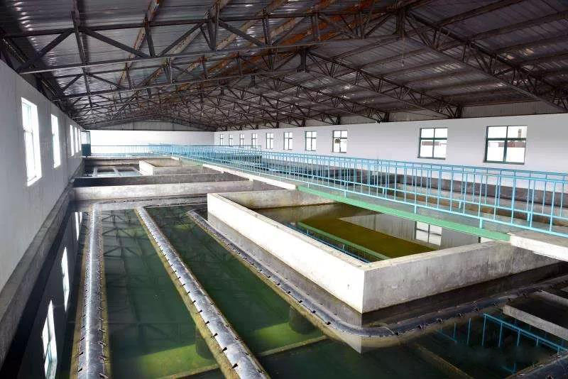 什么是制糖廢水？制糖廢水處理技術(shù)