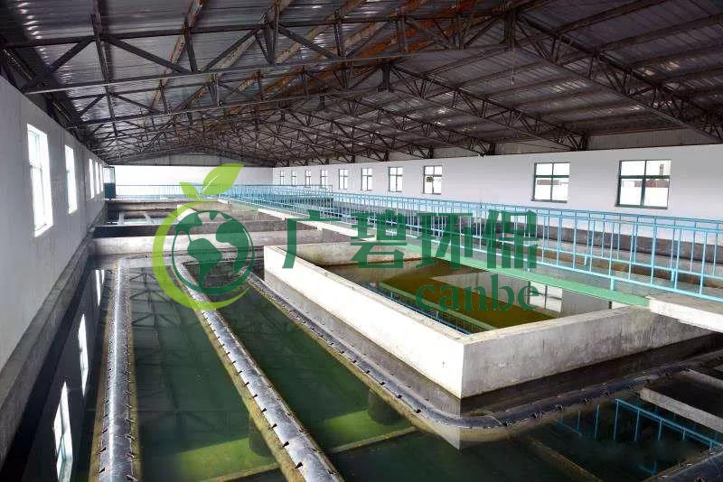 什么是制糖廢水？制糖廢水處理技術(shù)(圖1)