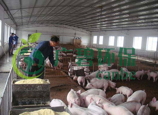 什么是養(yǎng)殖廢水？養(yǎng)殖廢水處理工藝(圖1)