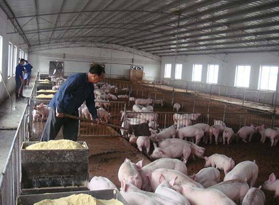 什么是養(yǎng)殖廢水？養(yǎng)殖廢水處理工藝