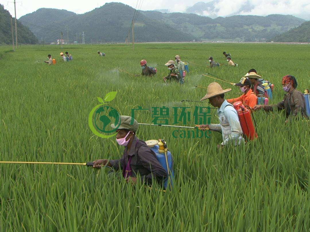 農(nóng)藥廢水是什么？農(nóng)藥廢水特點(diǎn)與處理工藝(圖1)