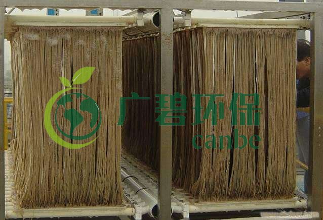 MBR污泥膨脹怎么處理？污泥膨脹的處理方法(圖1)