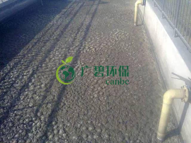 污泥發(fā)黑是什么原因造成？污泥發(fā)黑經(jīng)驗(yàn)分享(圖1)