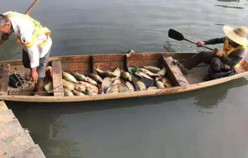 廣州旺旺食品廢水直排，永和河大量魚類死亡