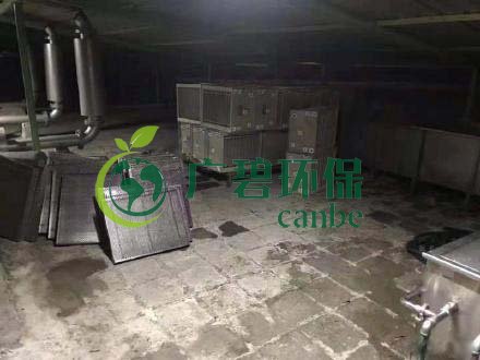 廣州旺旺食品廢水直排，永和河大量魚類死亡(圖3)