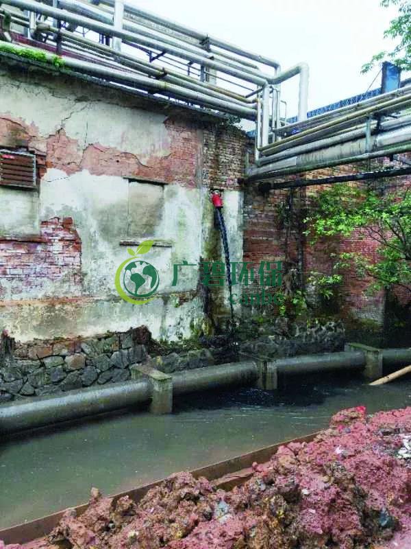 廣州海珠有污水直排河涌，3名涉案人員被行政拘留(圖1)